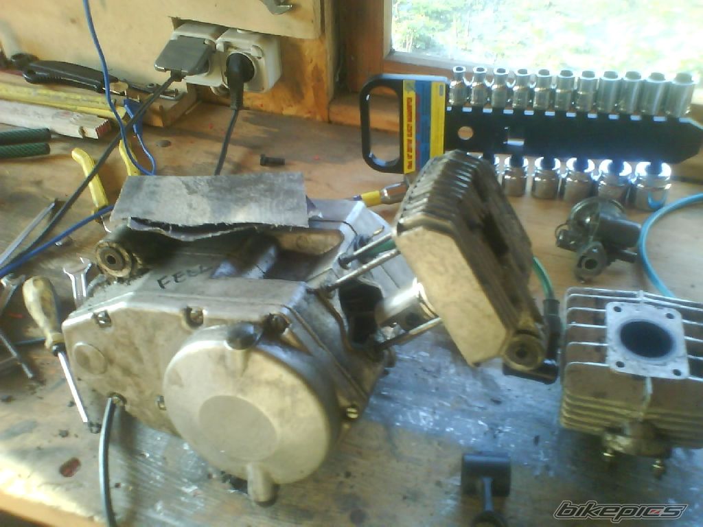 Photo 1263233
