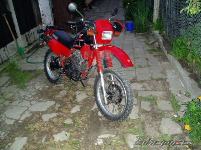 Bike Photo 1263302