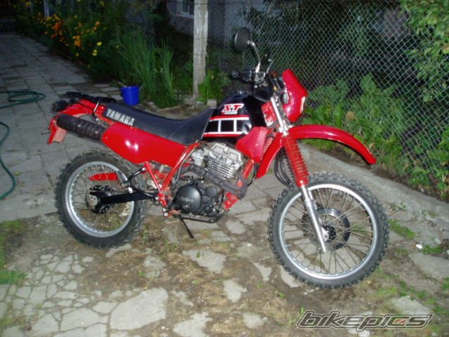Bike Photo 1263303