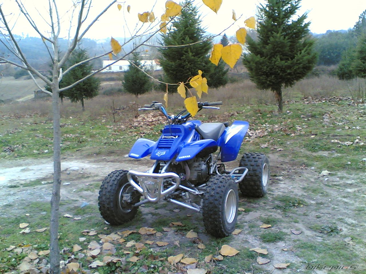 Photo 1263387