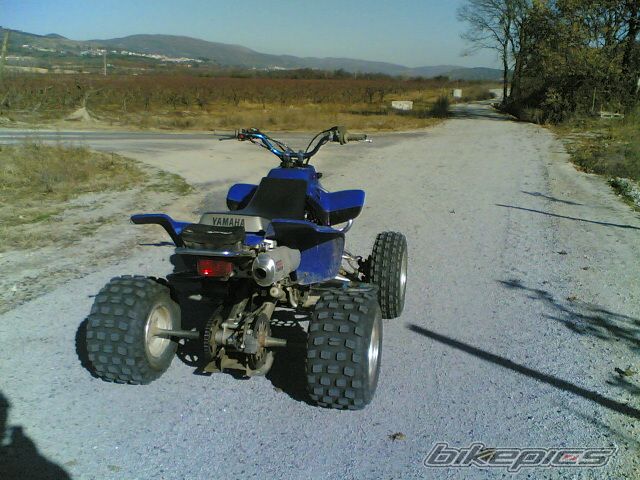 Photo 1263390