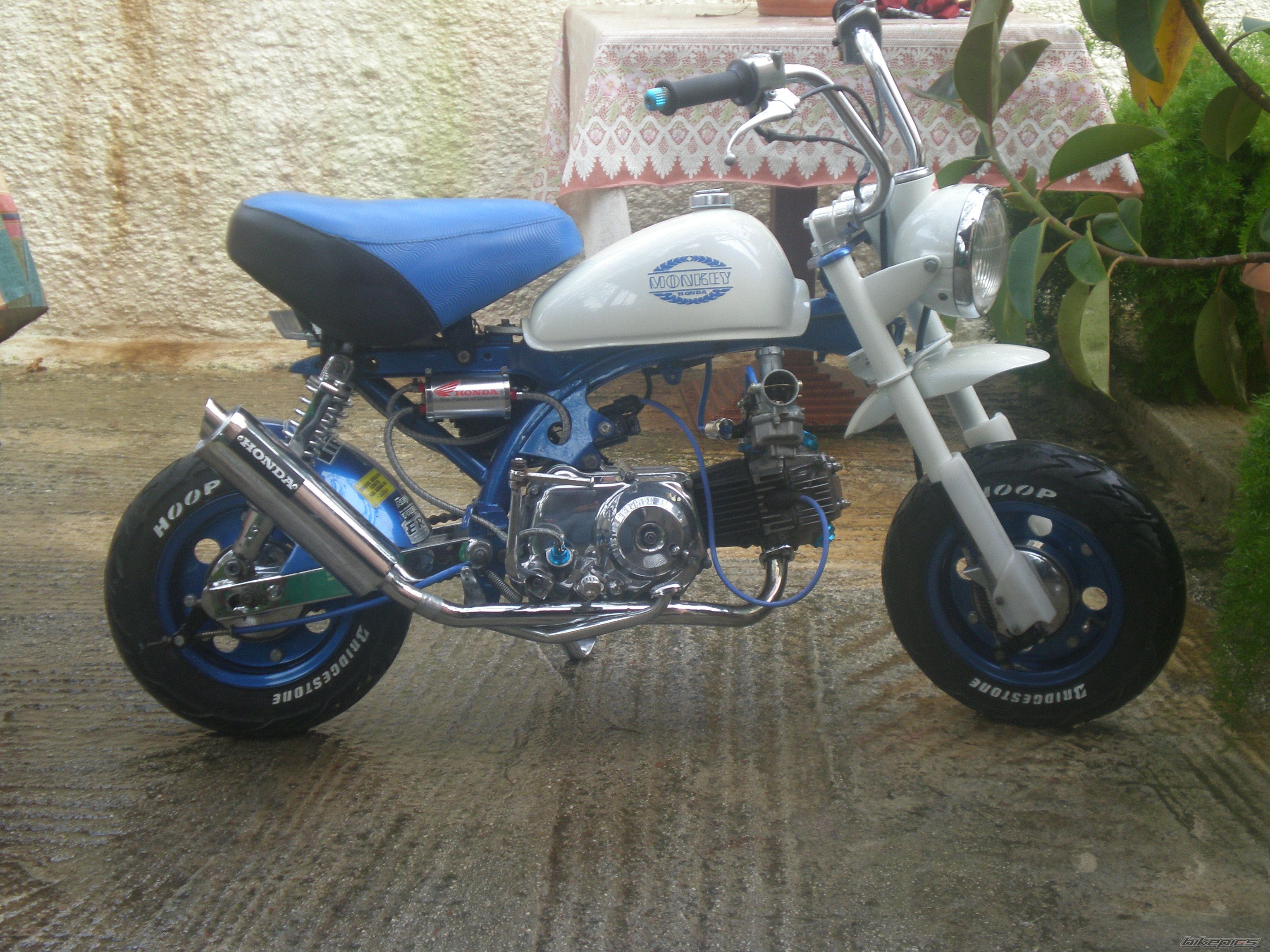 Photo 1263407
