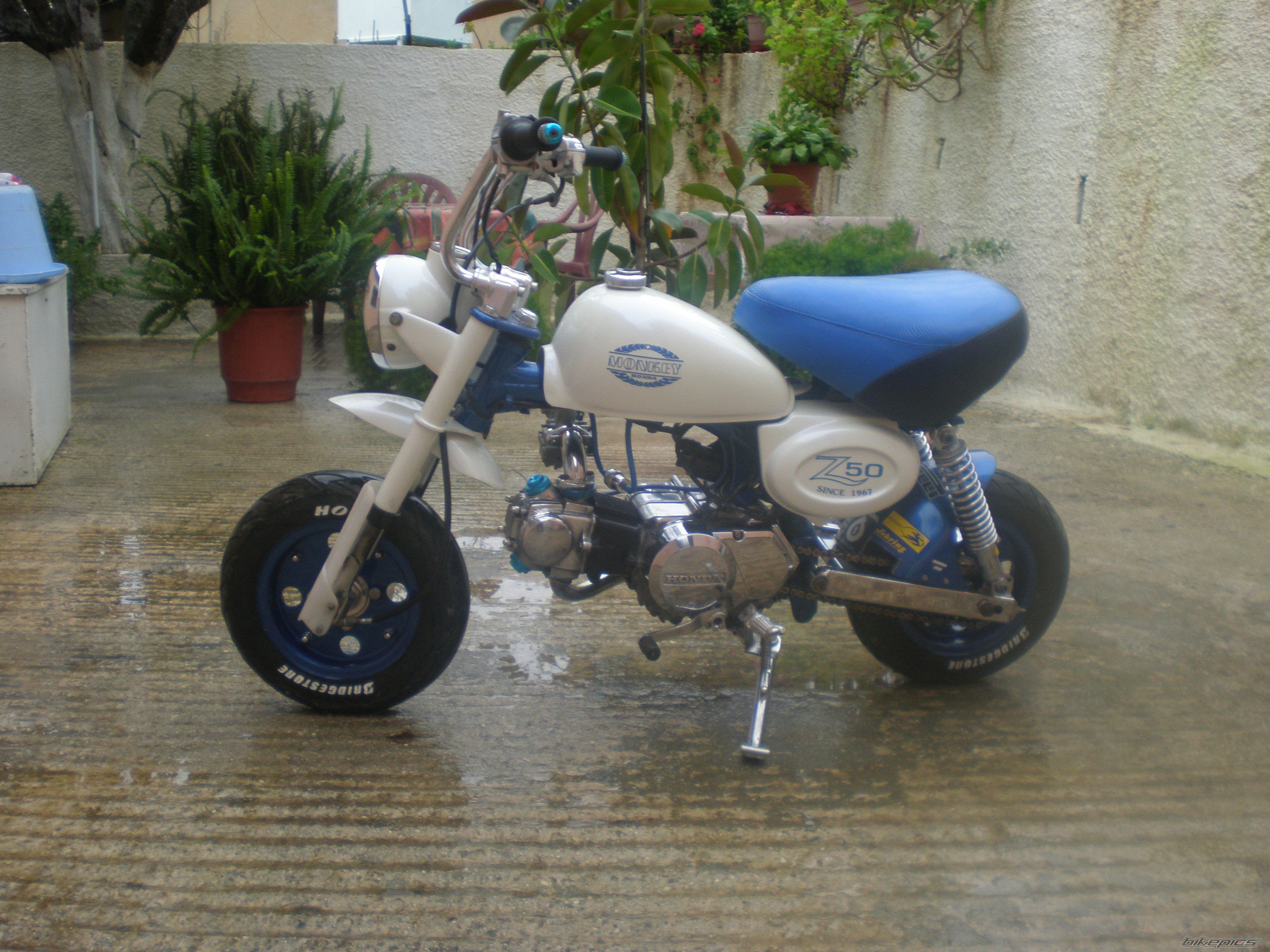 Photo 1263409