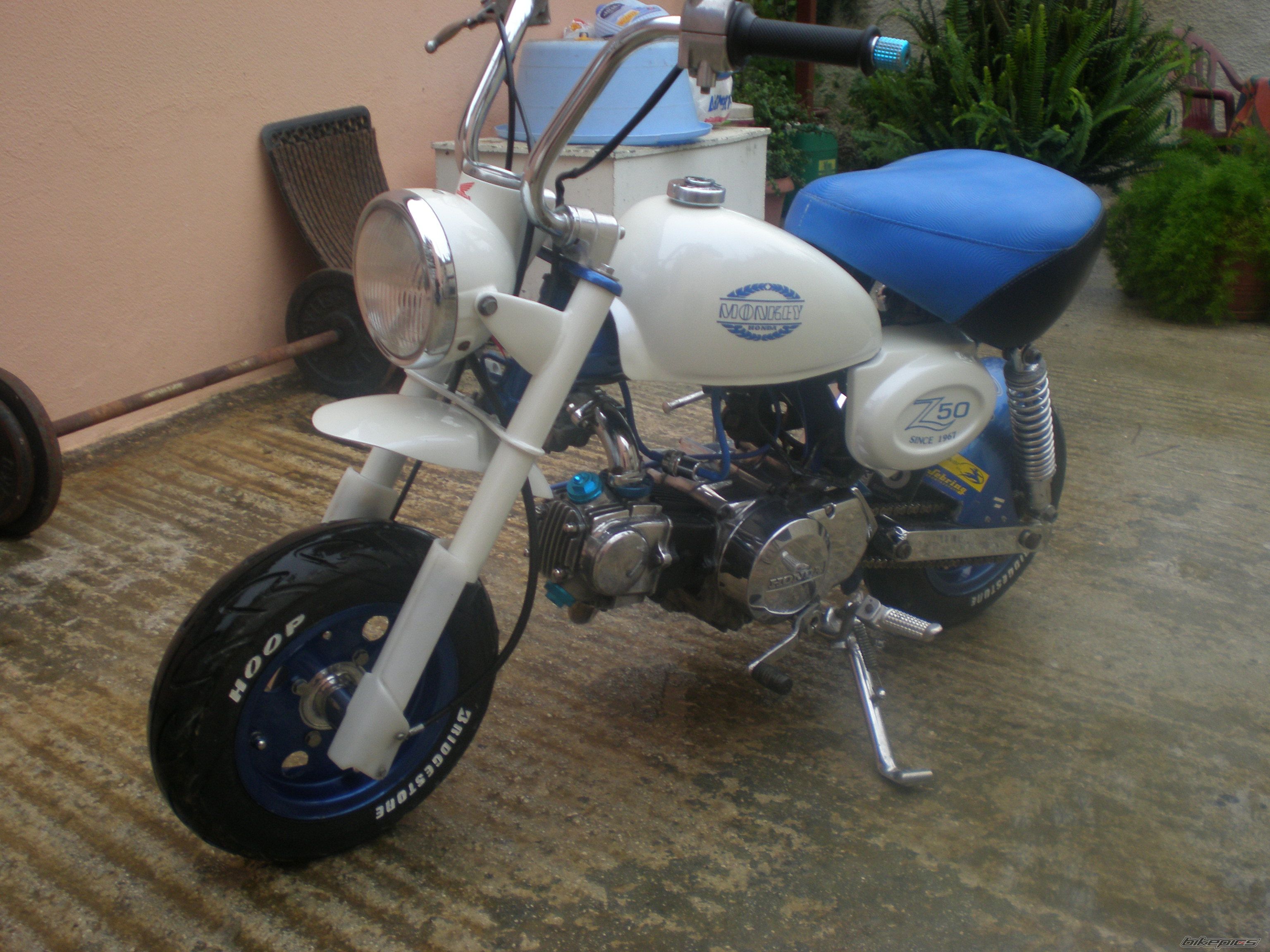 Photo 1263411