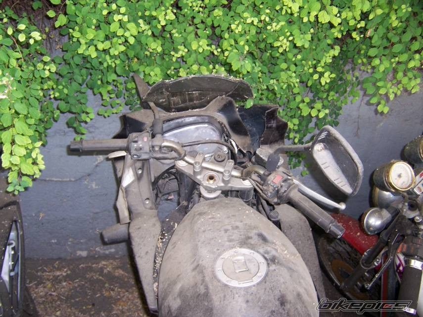 Photo 1263434