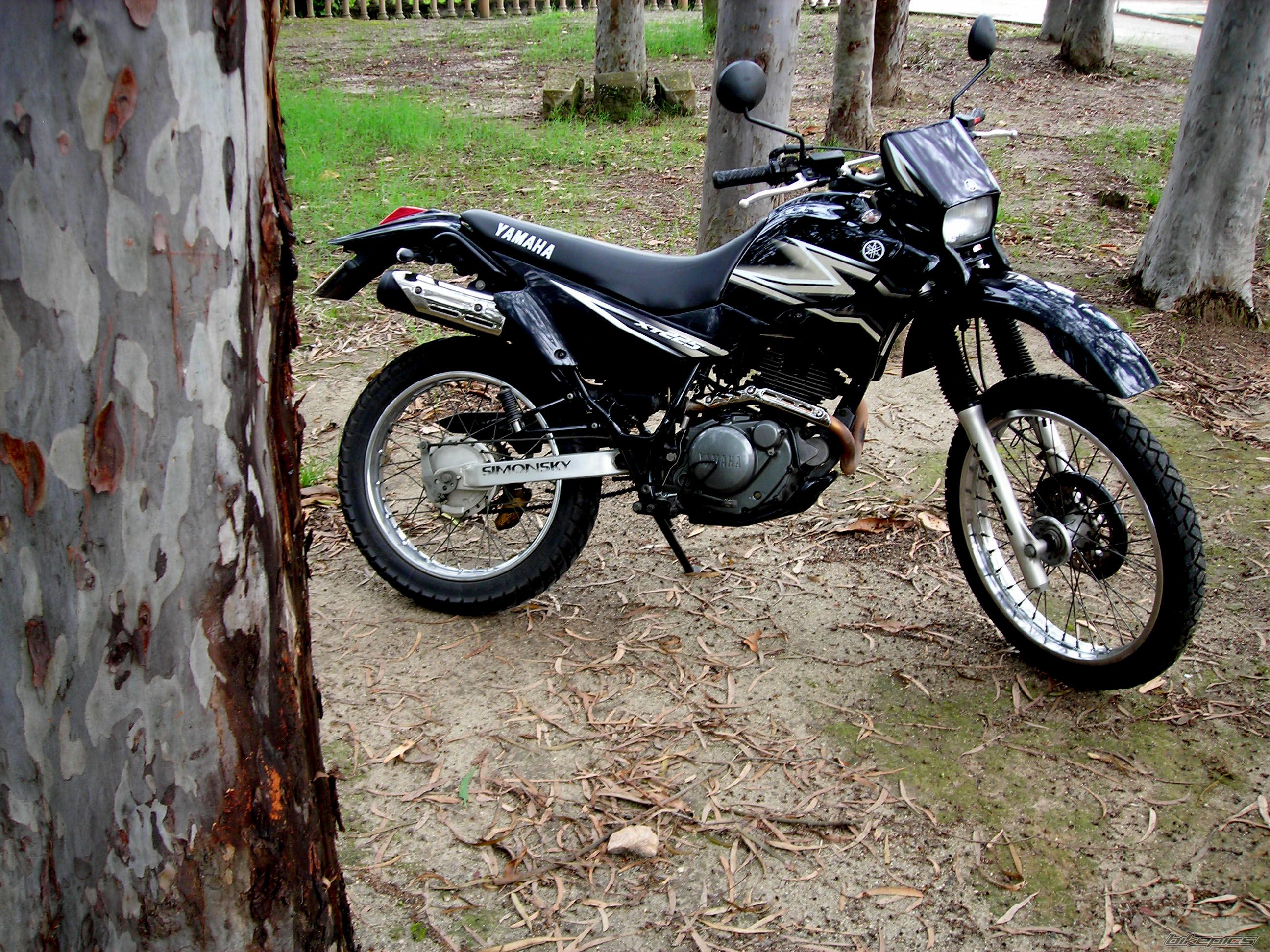 Bike Photo 1263449