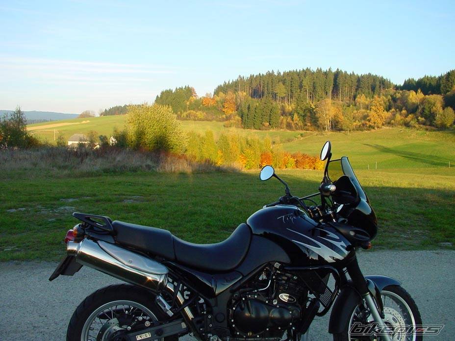 Photo 12635