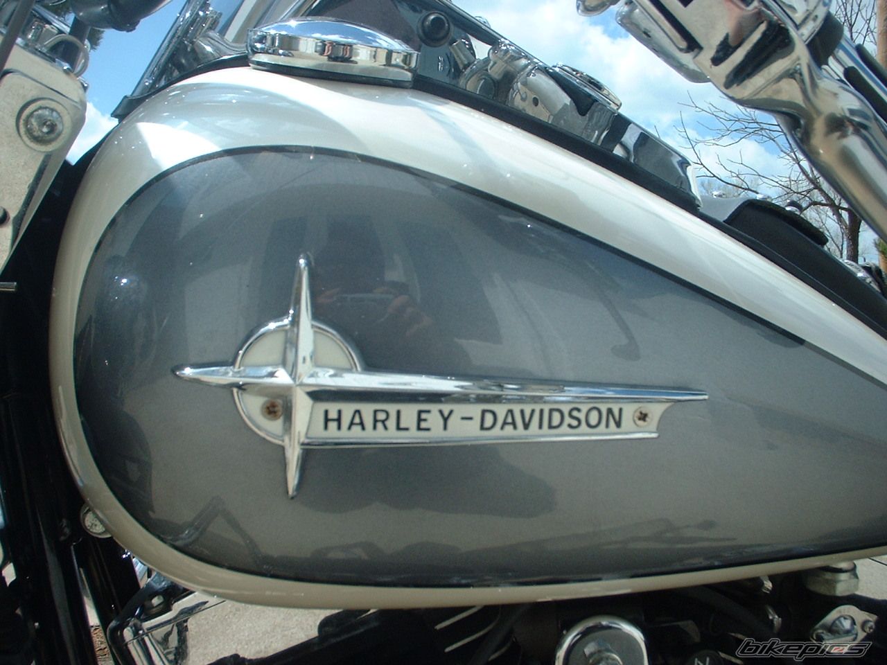 Photo 1263516