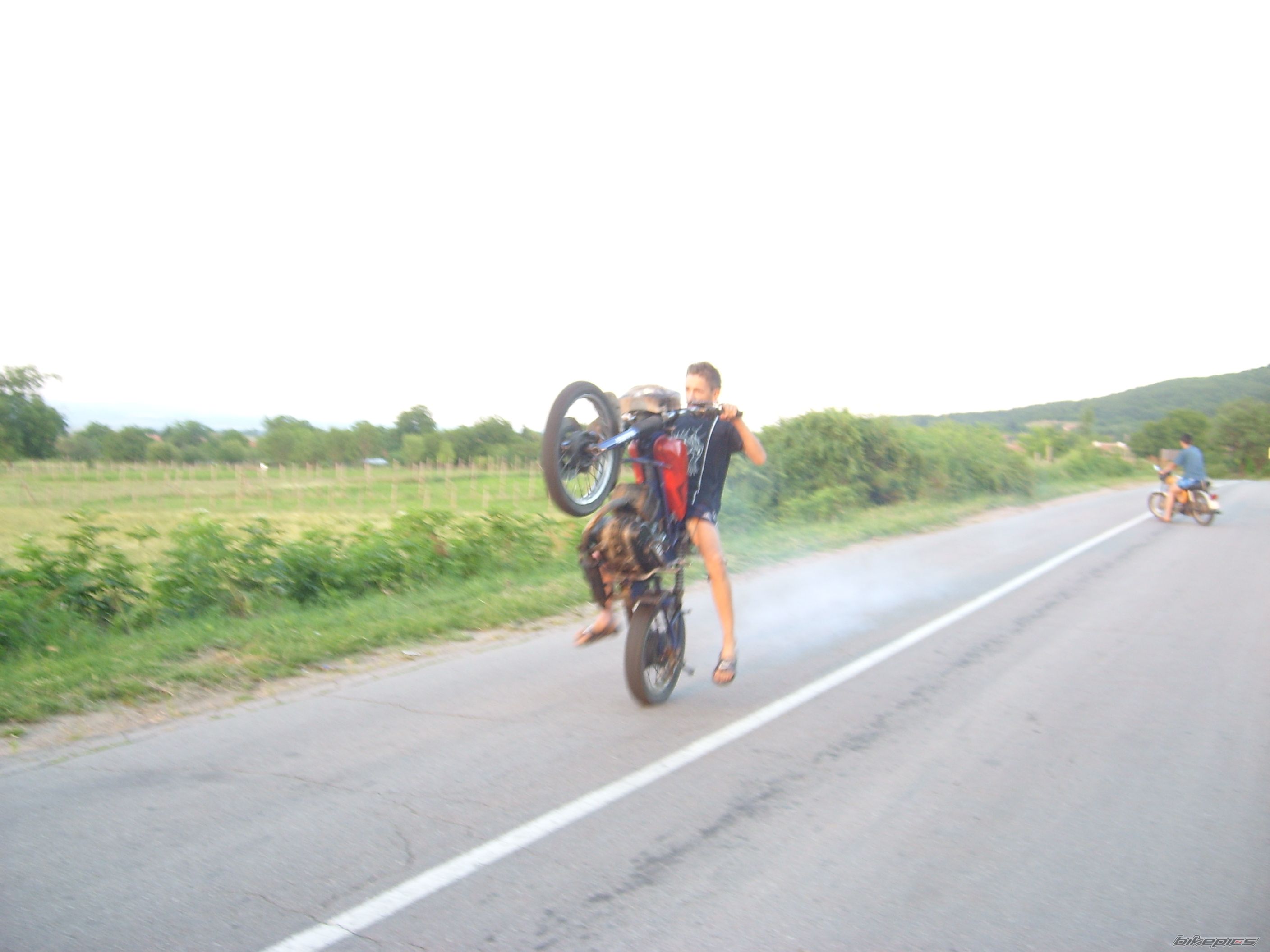 Photo 1263664