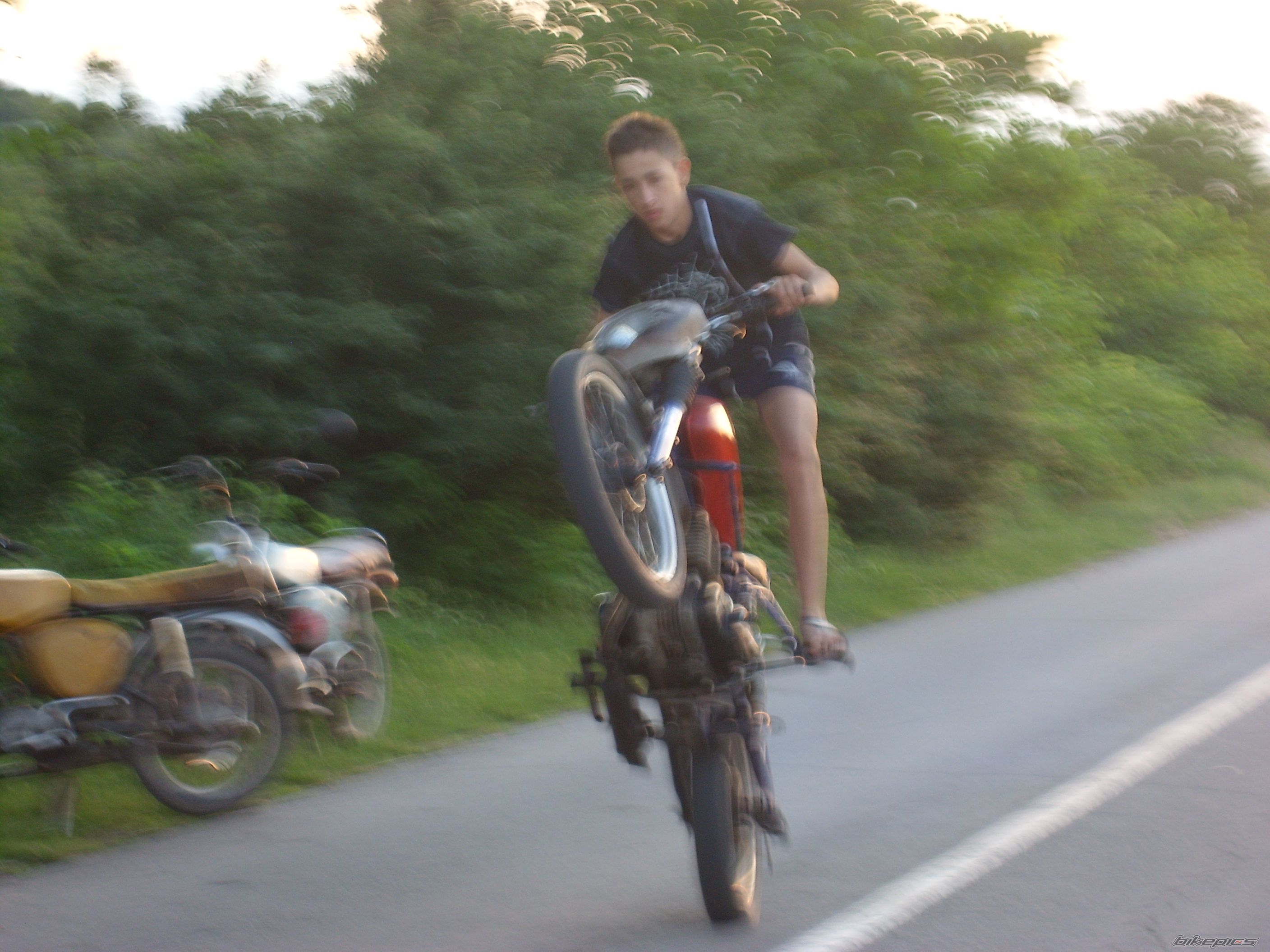 Photo 1263676