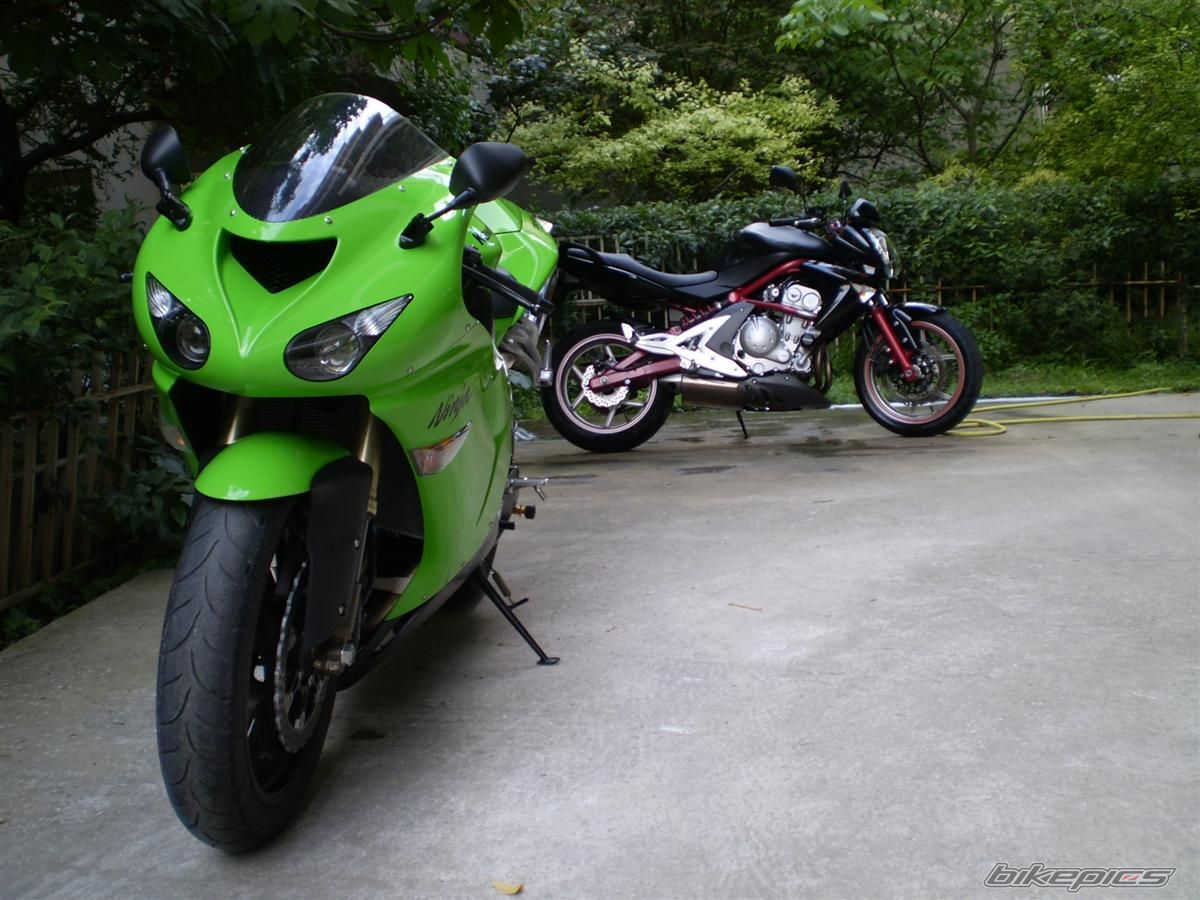 Photo 1263715