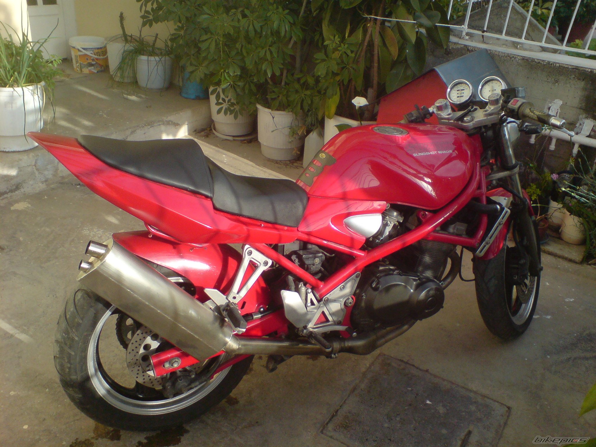 Photo 1263739