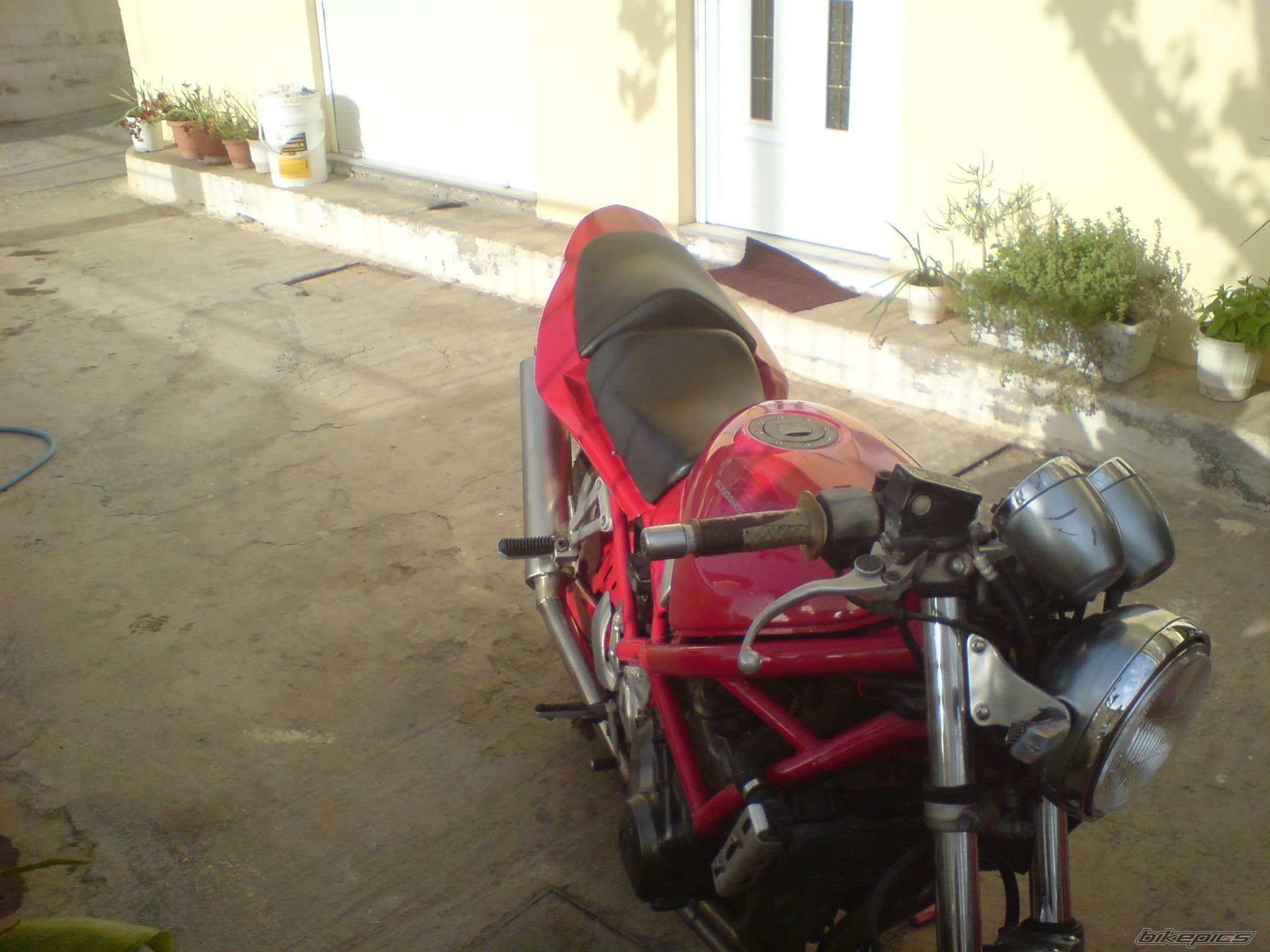 Photo 1263790