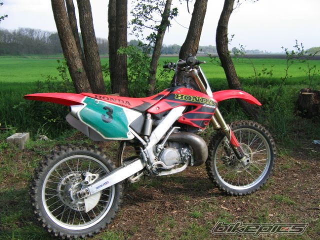 Photo 1263840