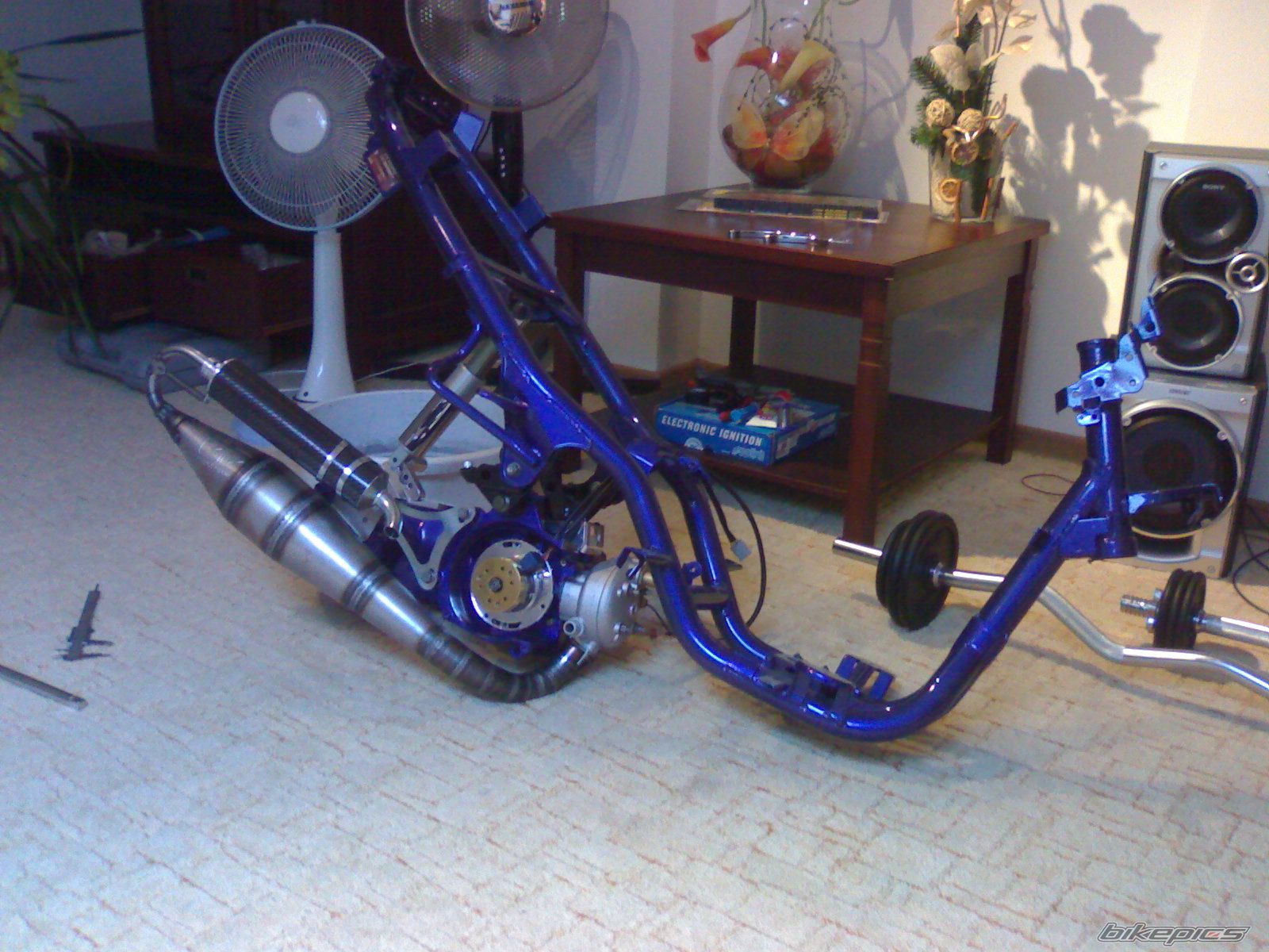 Bike Photo 1263890