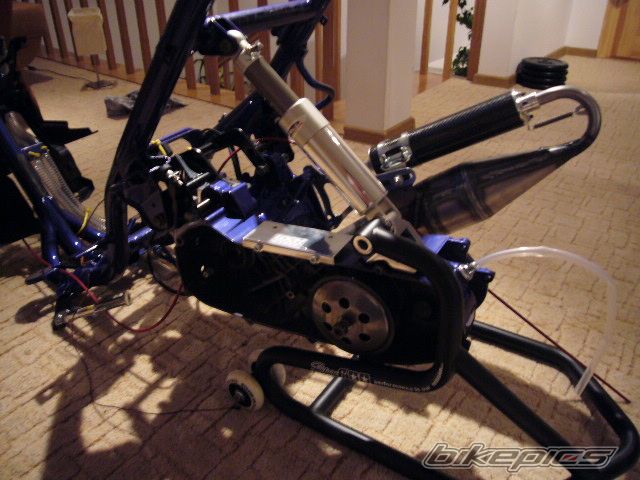 Photo 1263912
