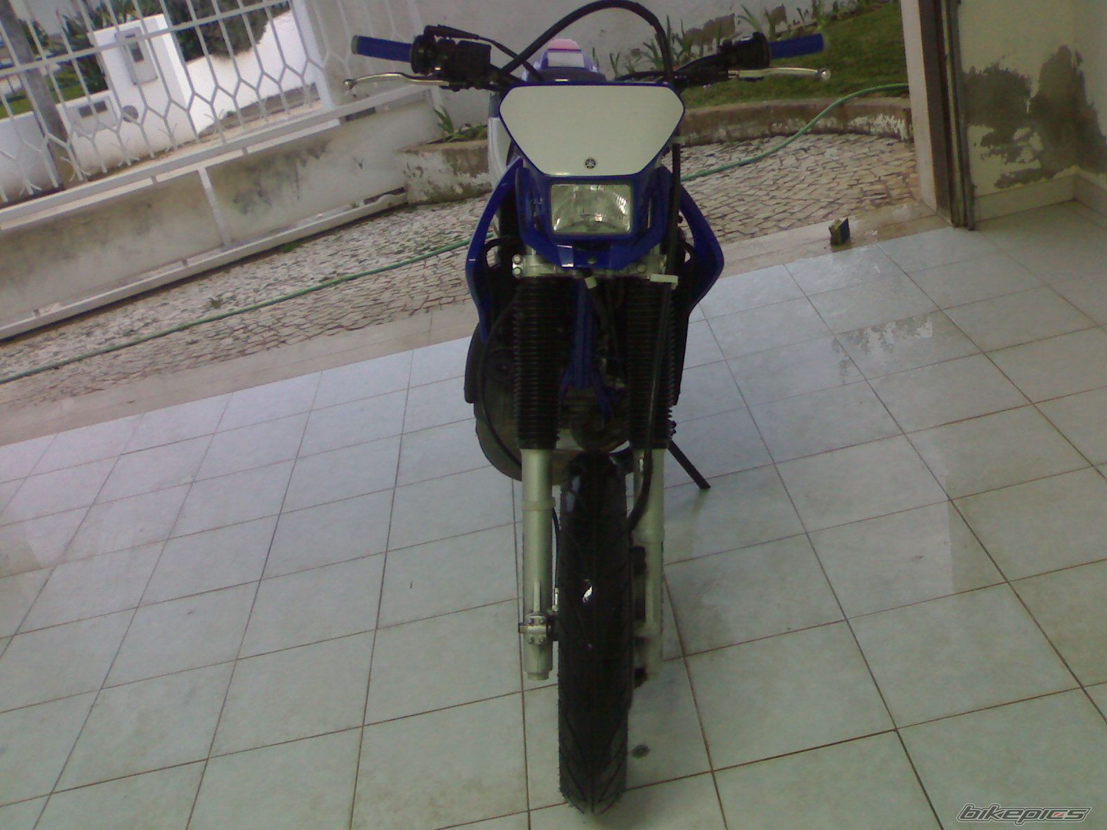 Photo 1263925