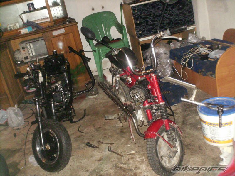 Photo 1263932