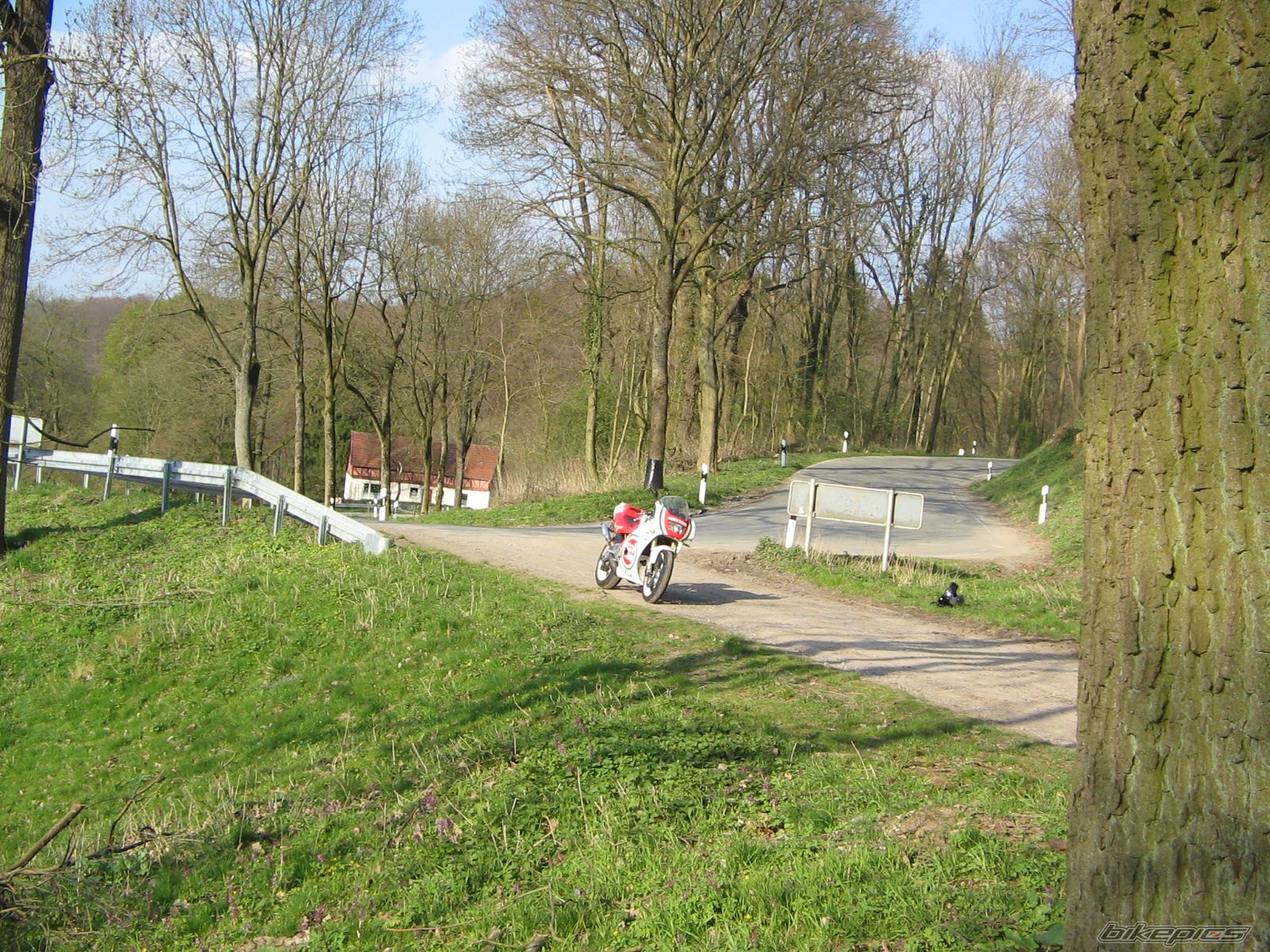 Photo 1263940