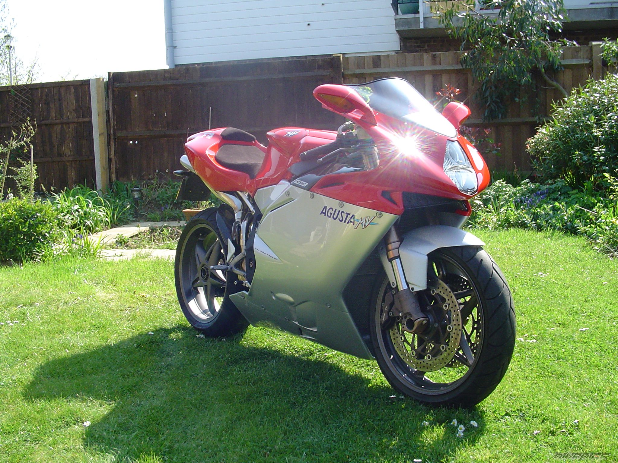 Photo 1263964
