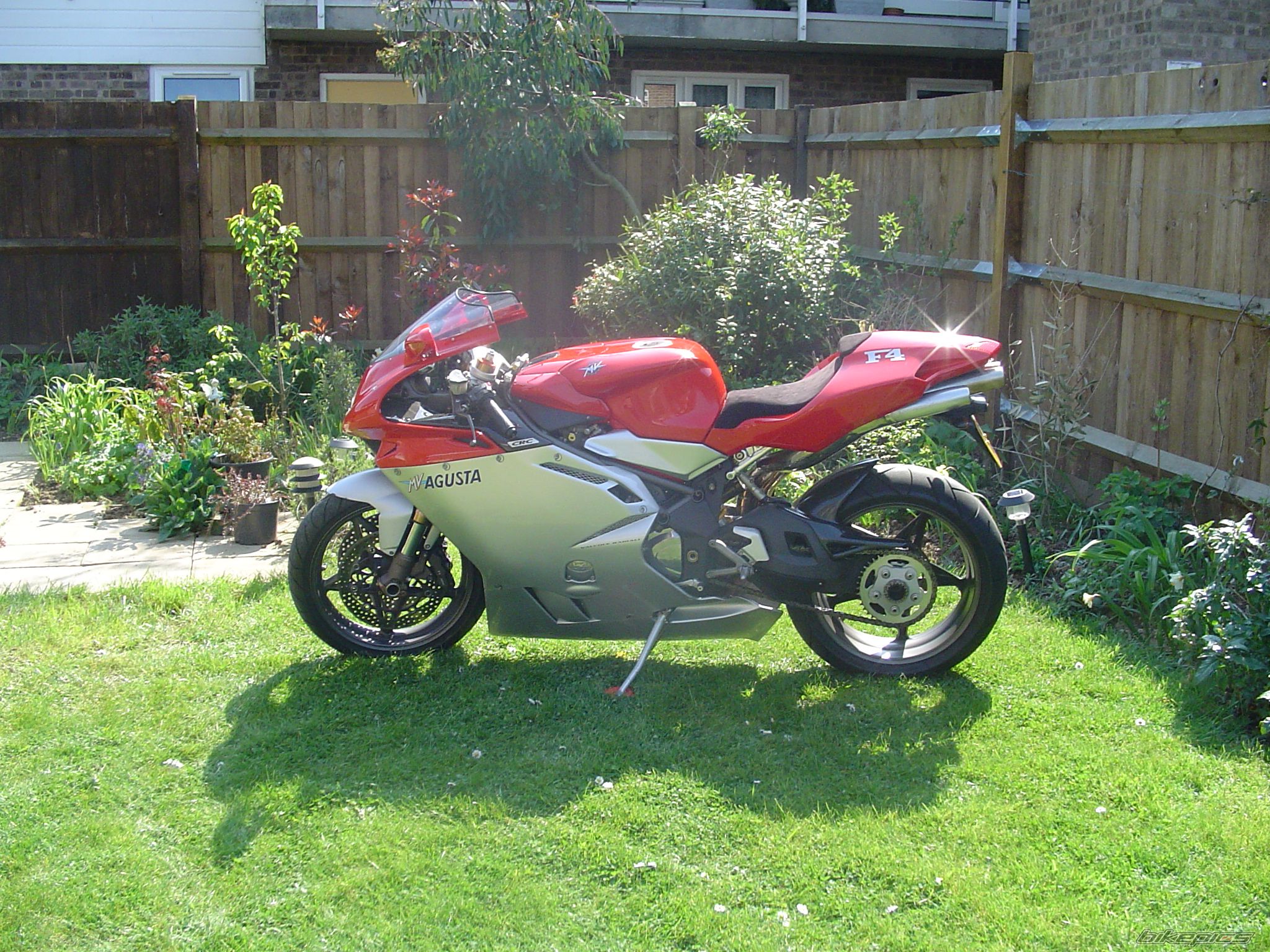 Photo 1263979