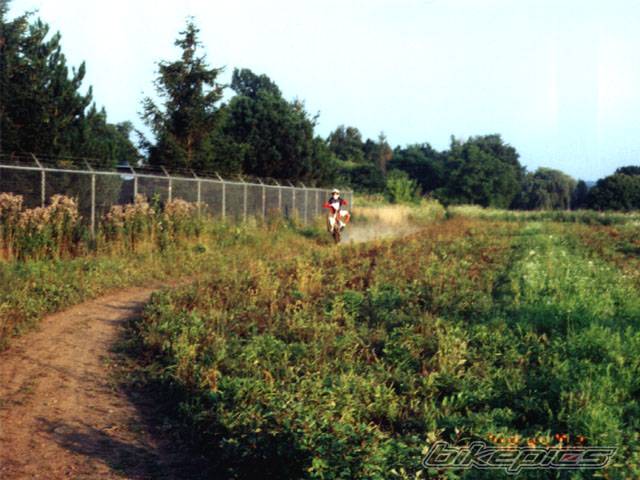 Photo 126401