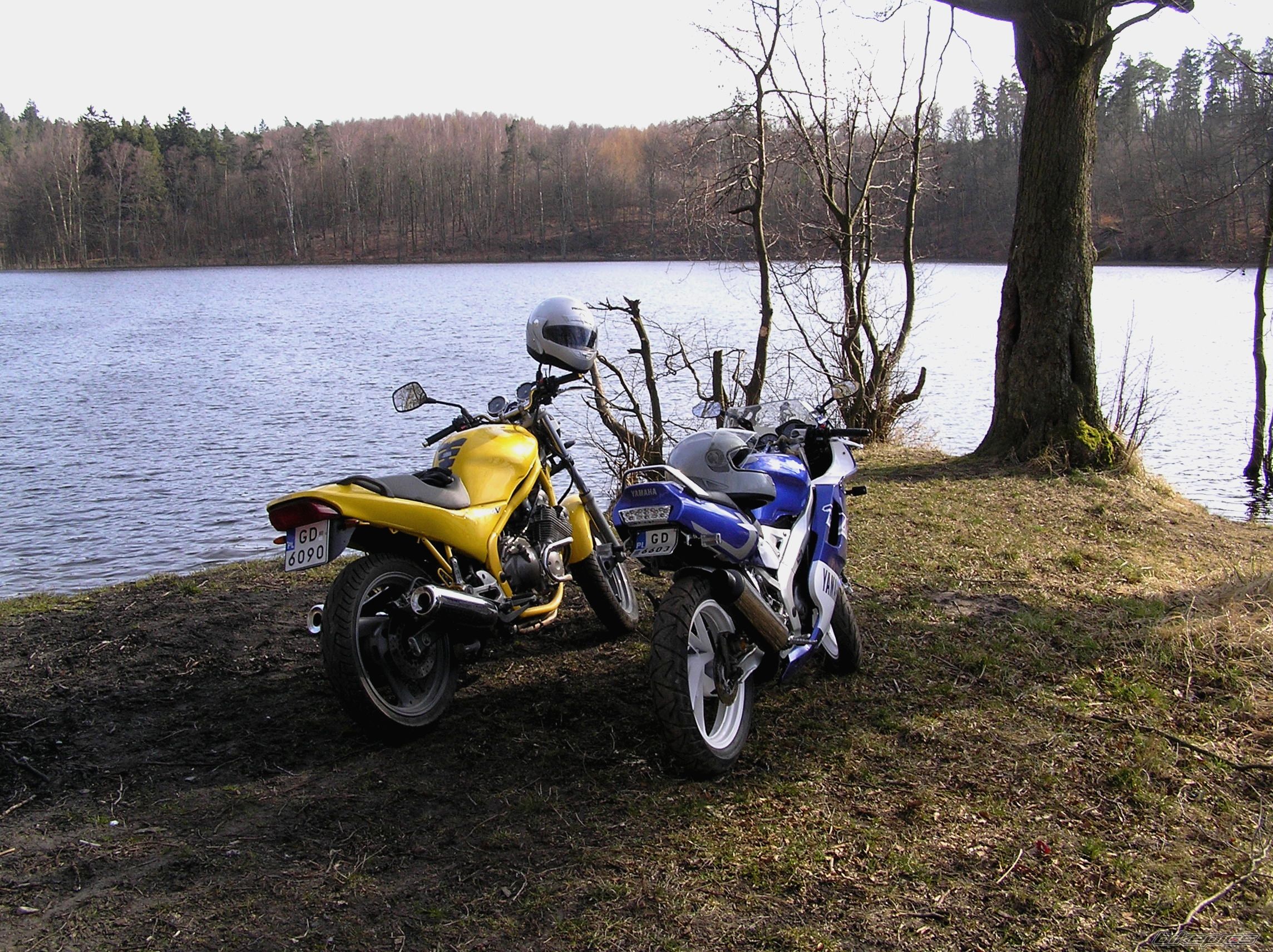 Photo 1264015