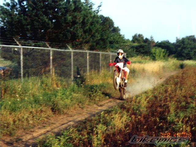 Photo 126404