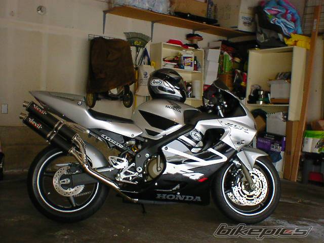 Photo 12642