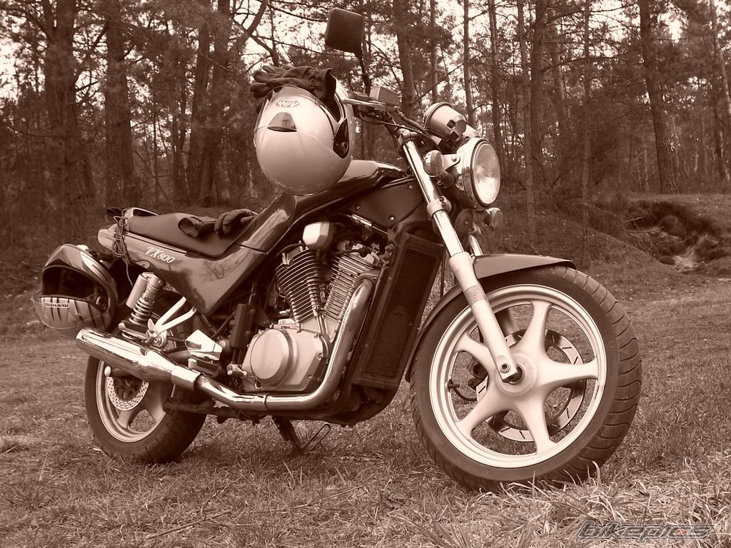 Photo 1264200