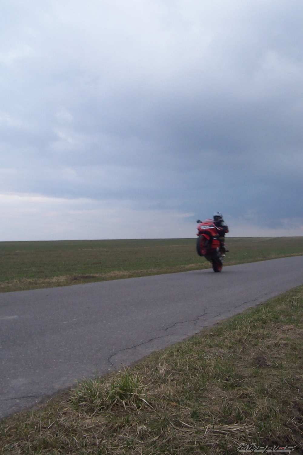 Photo 1264207