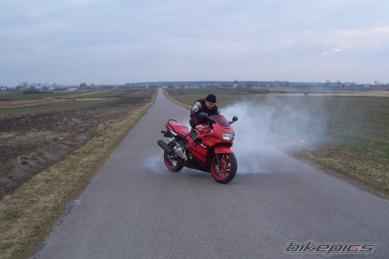 Photo 1264209