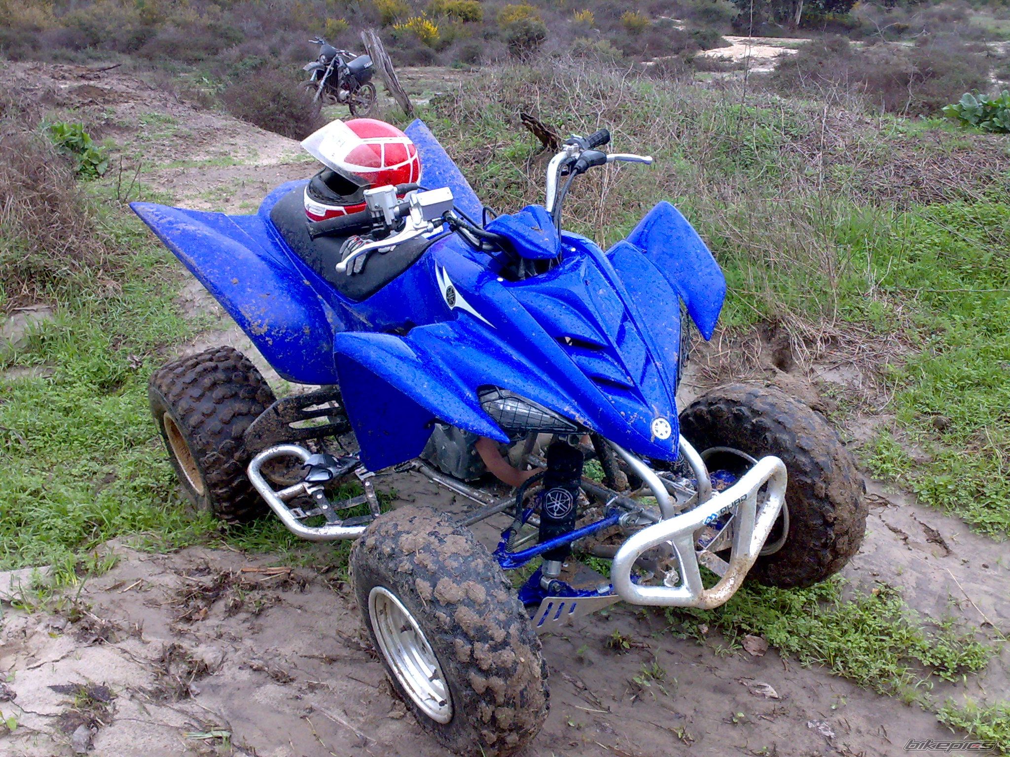 Photo 1264244