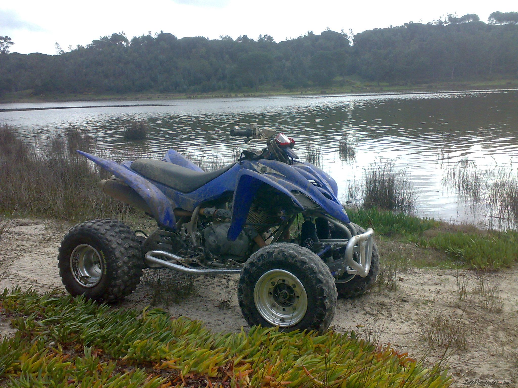 Photo 1264245