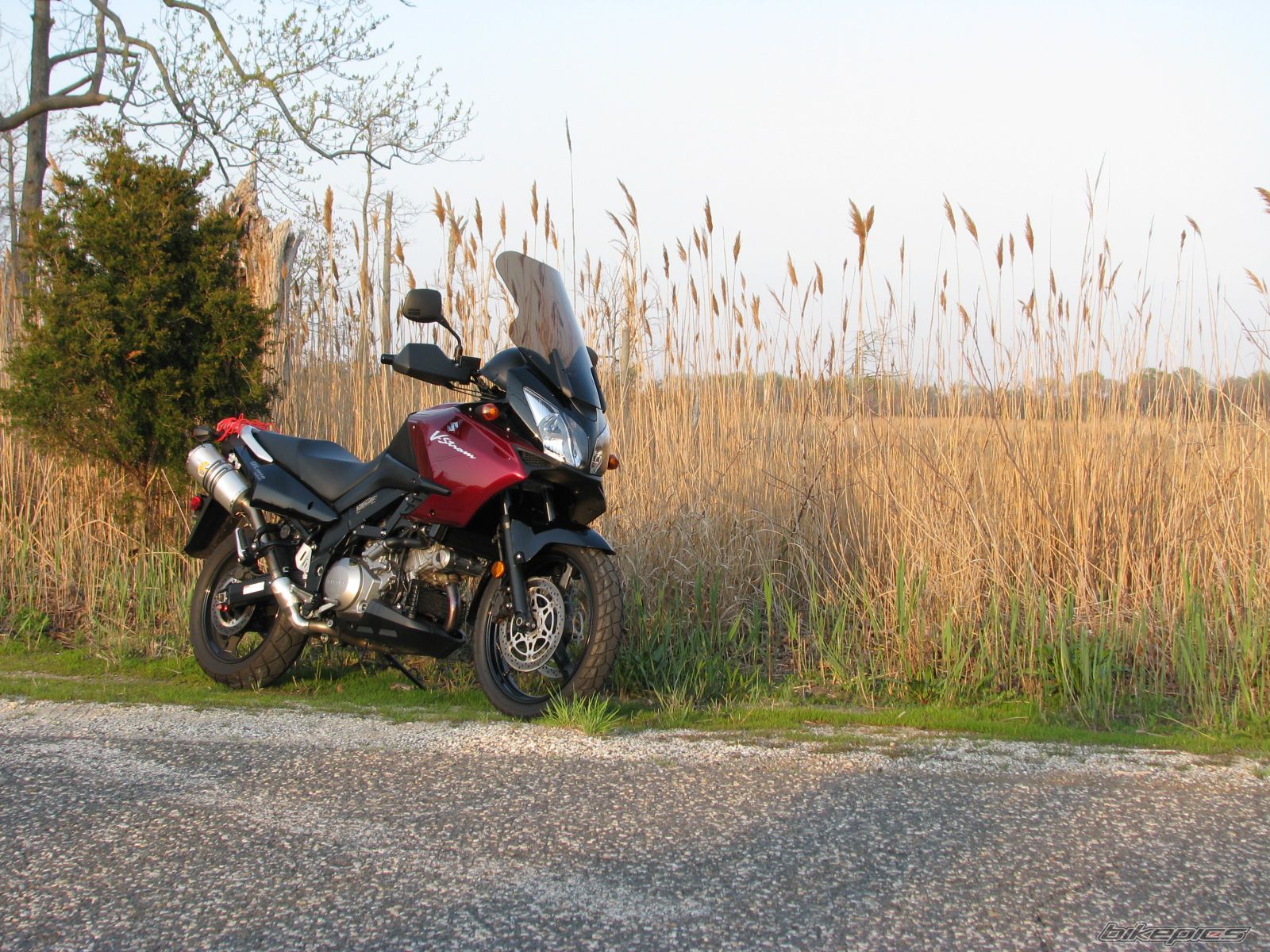 Bike Photo 1264250