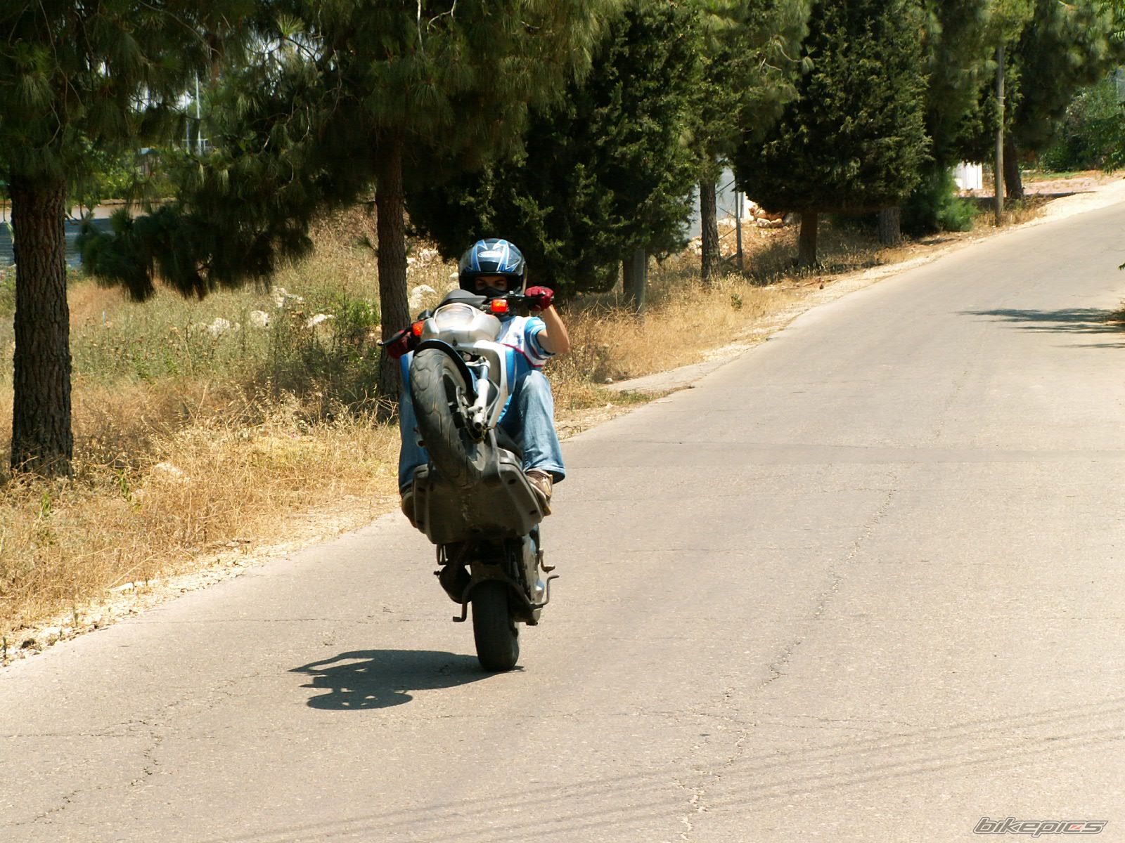 Bike Photo 1264267