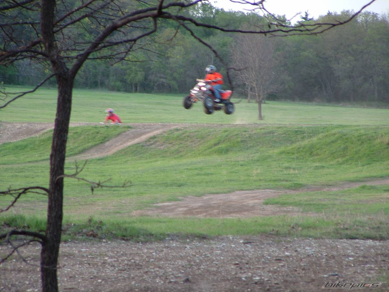 Photo 126427