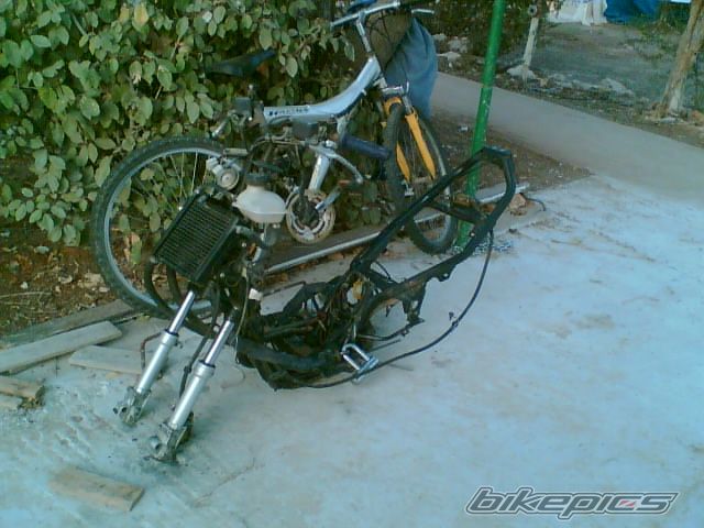 Photo 1264283