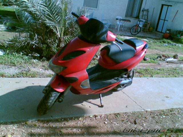 Photo 1264295