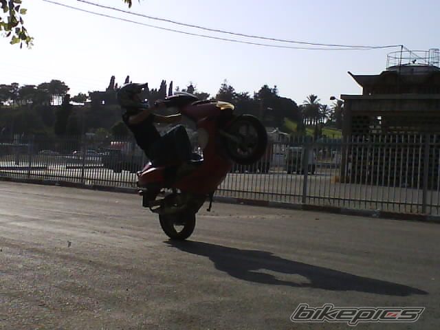 Photo 1264307
