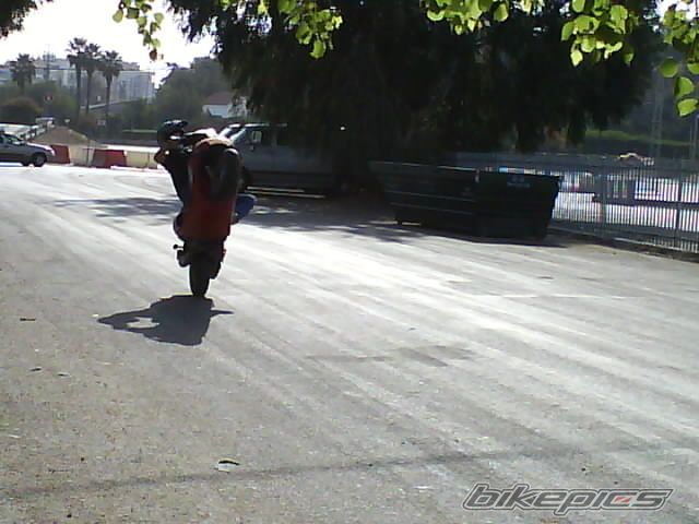 Photo 1264308