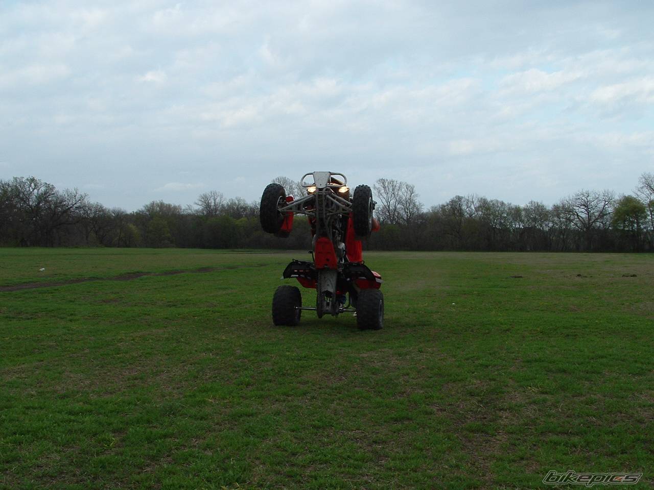 Photo 126431