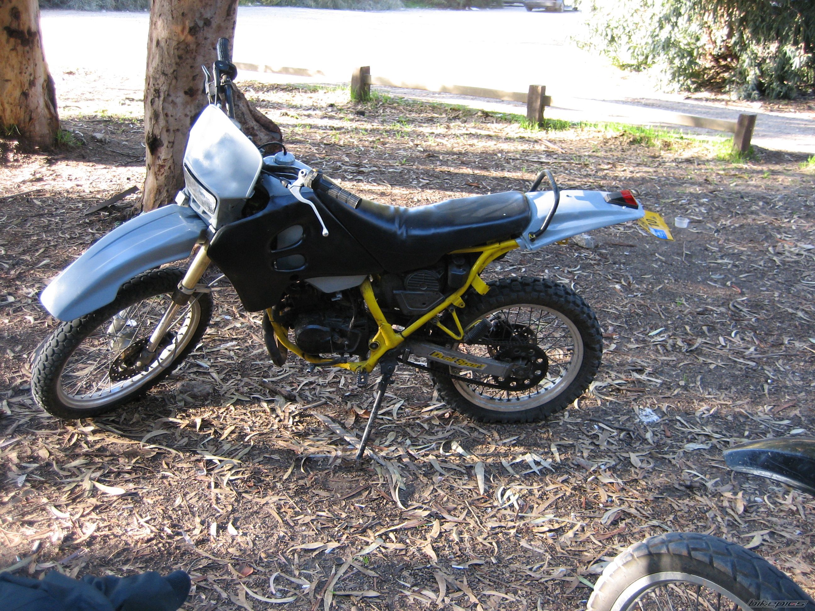 Photo 1264312
