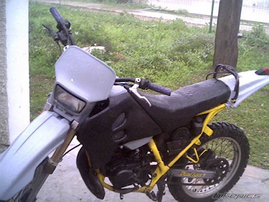Photo 1264316