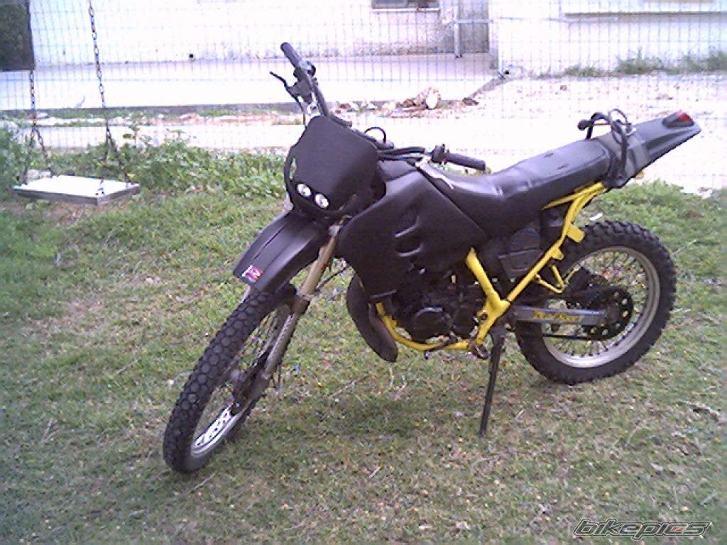 Photo 1264323