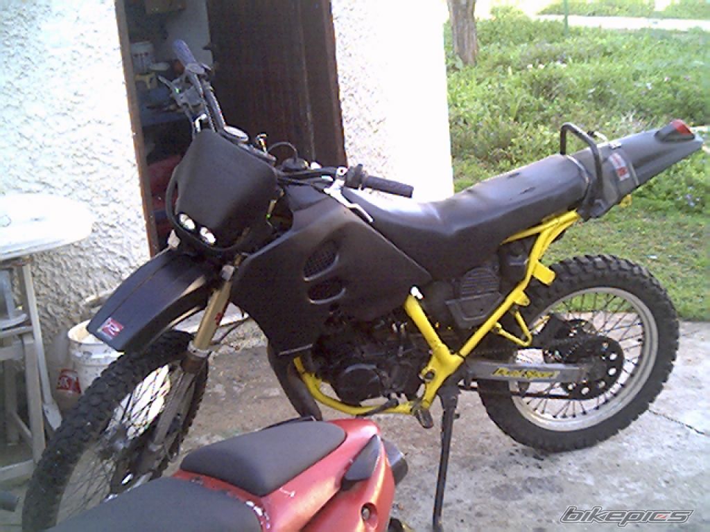 Photo 1264324