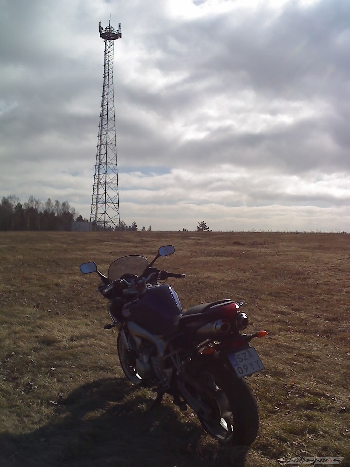 Photo 1264368