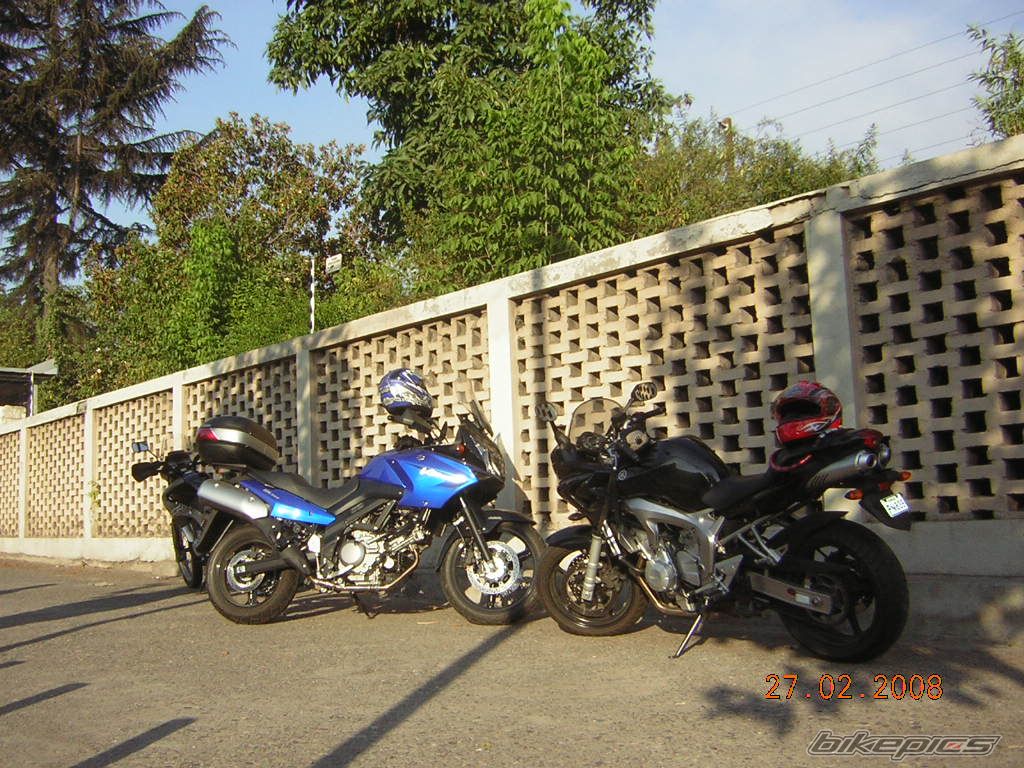 Photo 1264380