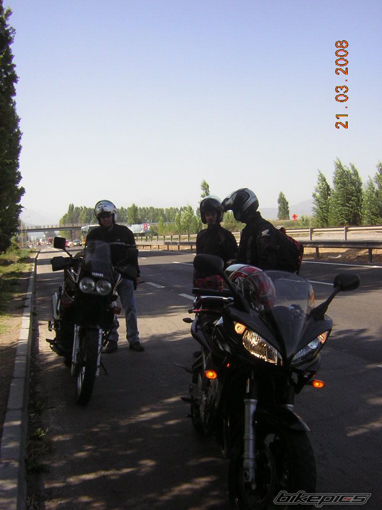 Photo 1264383