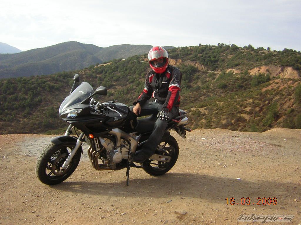 Photo 1264389